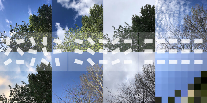 Eight photos of the same tree taken at different times of the year, displayed in a grid. The final photo is highly pixelated. Groups of white blocks run across the grid from left to right, gradually becoming aligned.