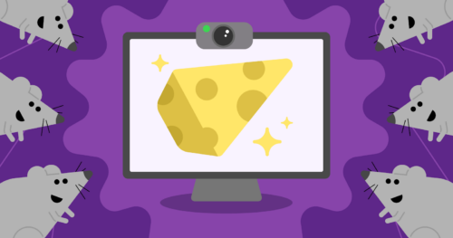 A piece of cheese is displayed on a screen. There are multiple mice around the screen. 